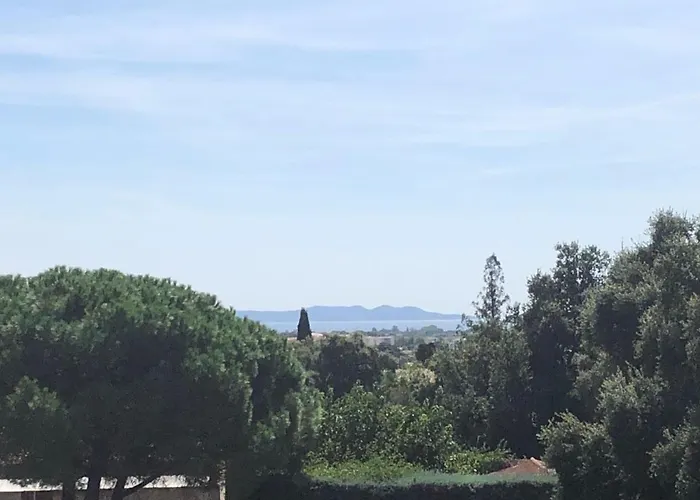 L\'Oliveraie