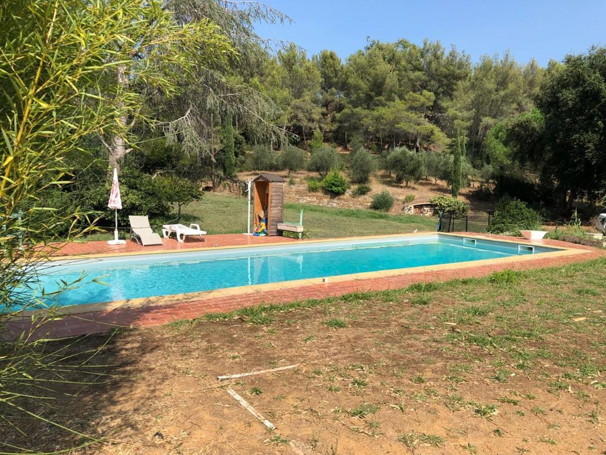 L'oliveraie * La Londe-les-Maures