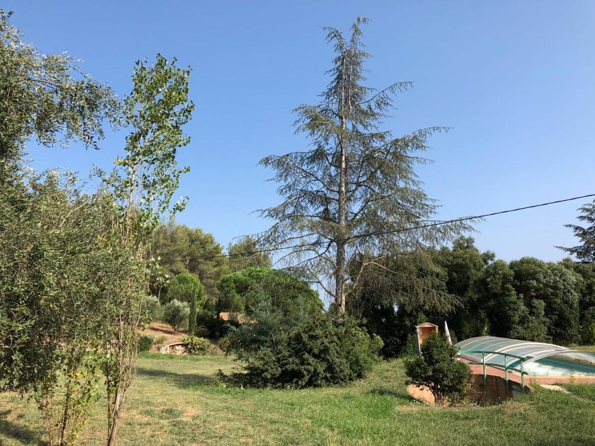L'oliveraie *