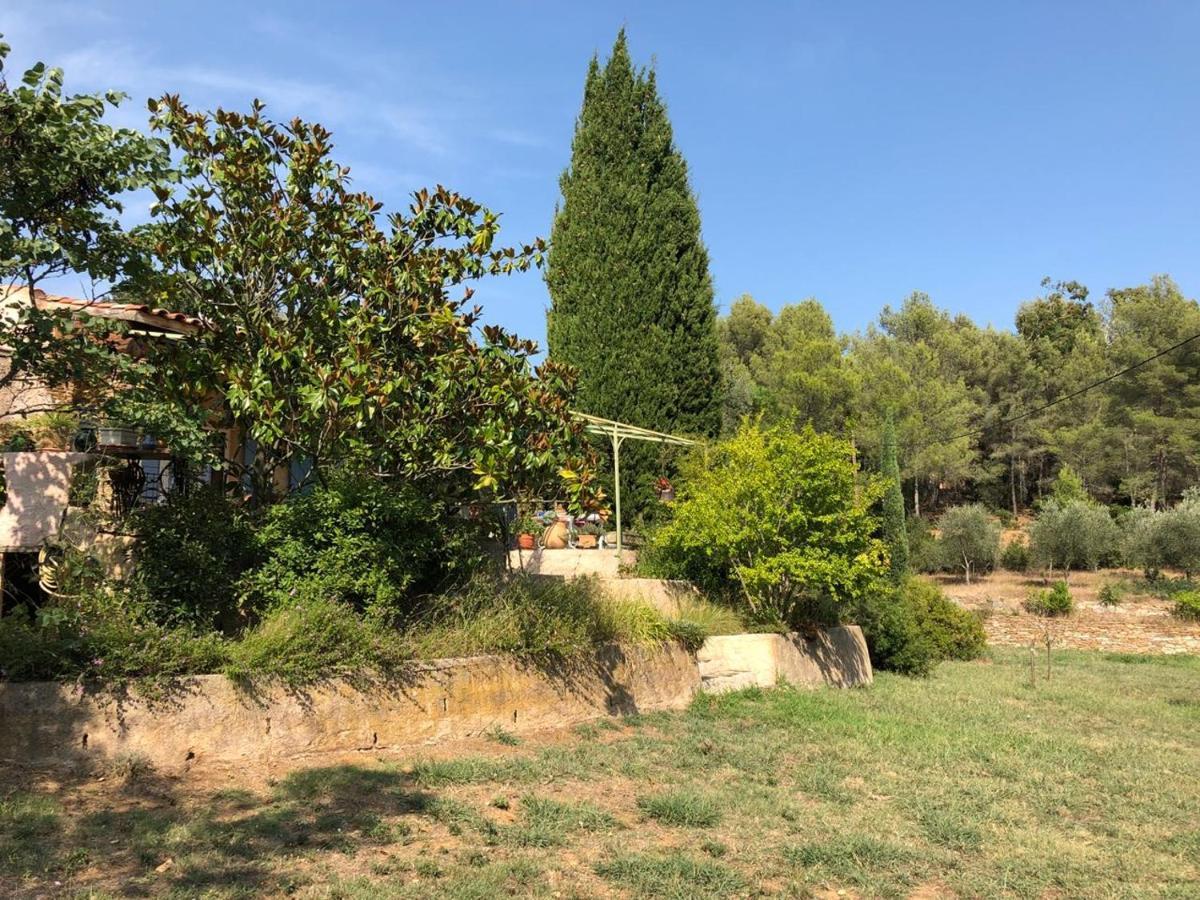 L'oliveraie